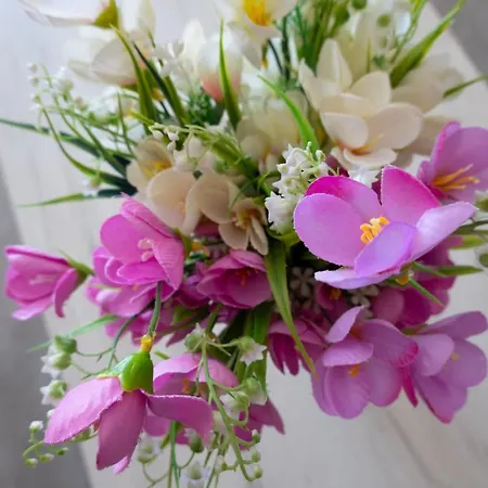 Si-ku With Private Pool And Hot Tub Xagħra